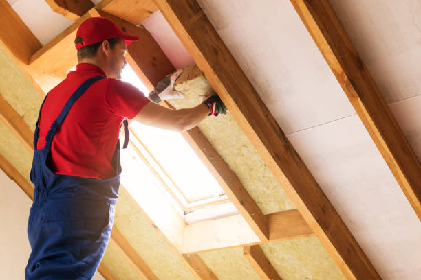 Best Attic Insulation Installation  in USA